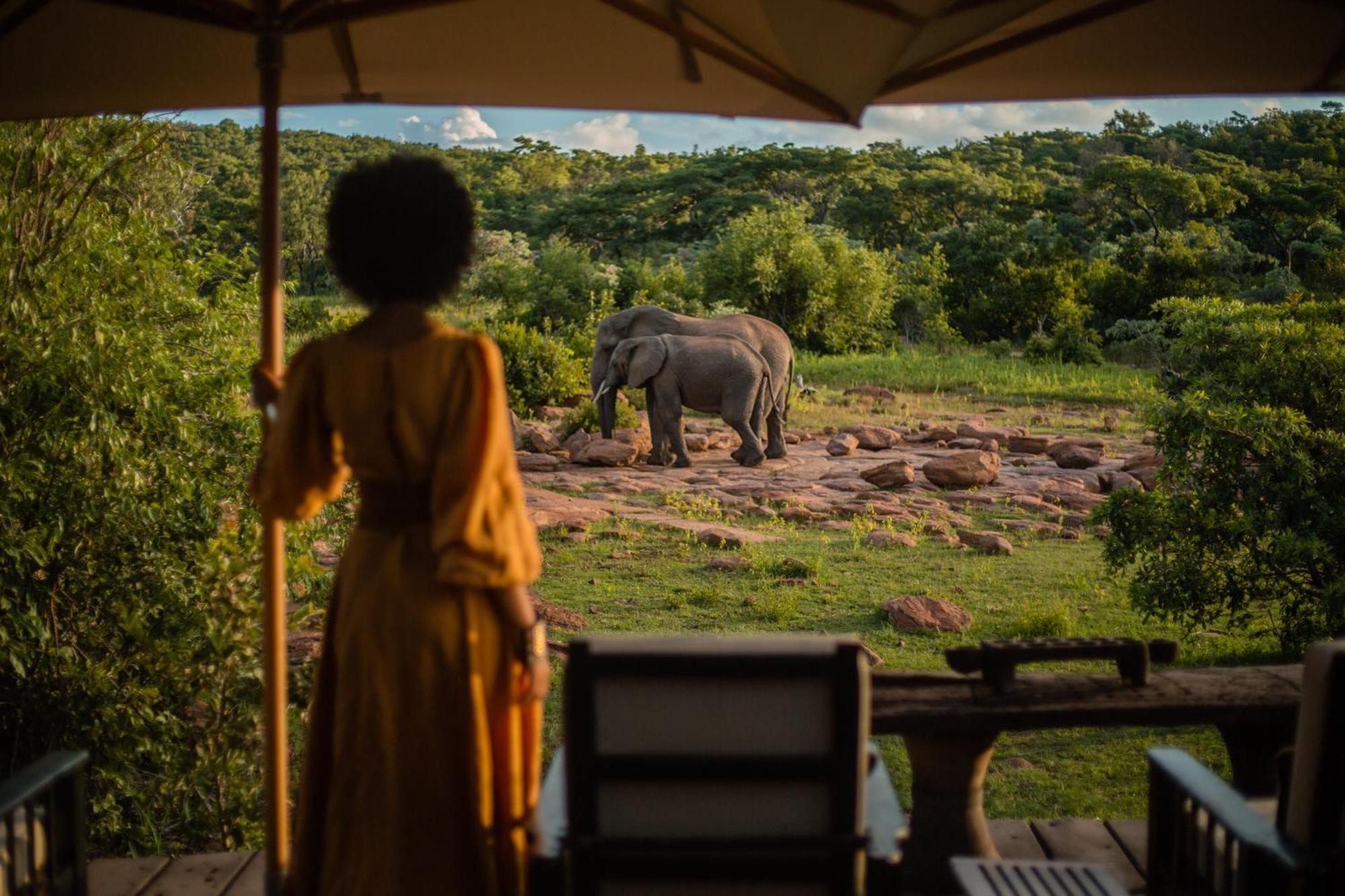 Makweti Safari Lodge Welgevonden Game Reserve Exterior photo