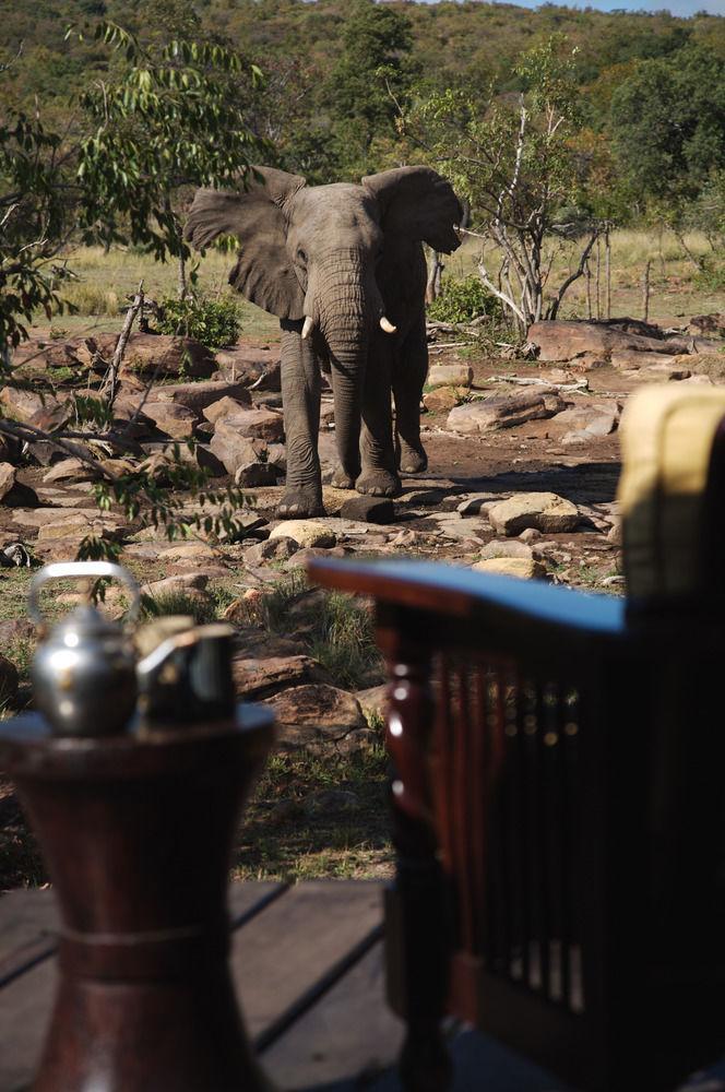 Makweti Safari Lodge Welgevonden Game Reserve Exterior photo