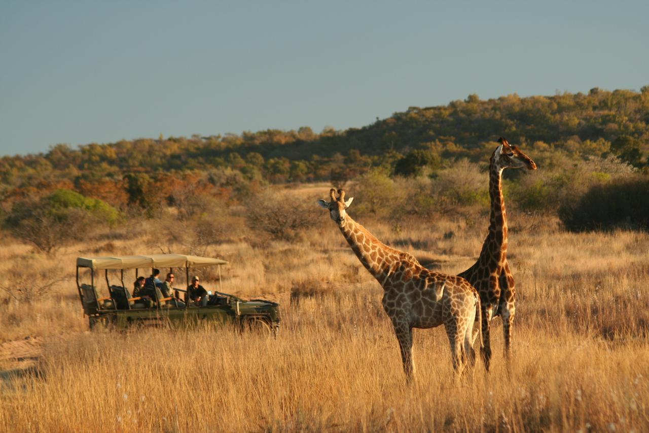 Makweti Safari Lodge Welgevonden Game Reserve Exterior photo