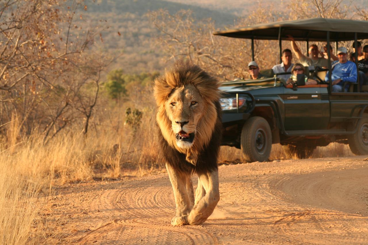 Makweti Safari Lodge Welgevonden Game Reserve Exterior photo